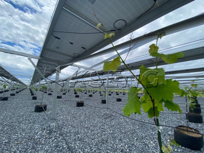 solar farm