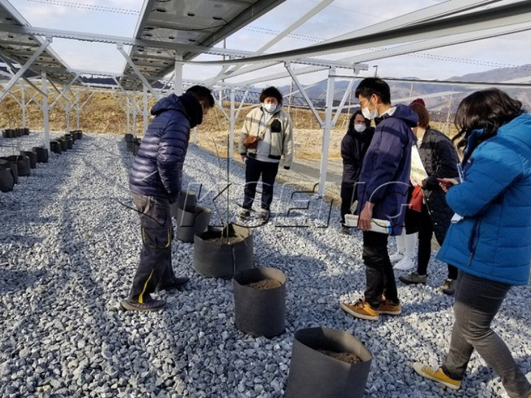 solar ground mount