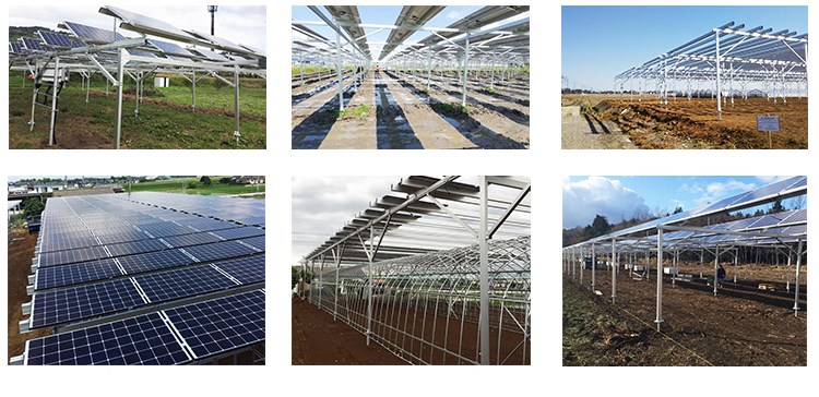 solar agriculture.jpg
