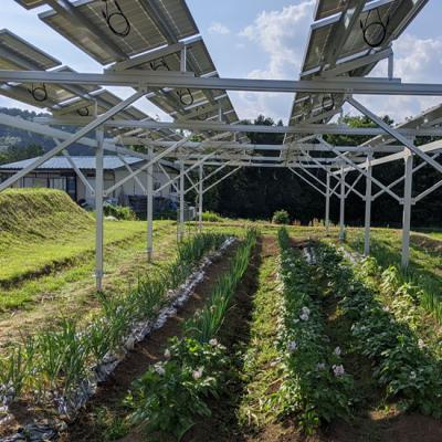 Solar Agriculture Farm