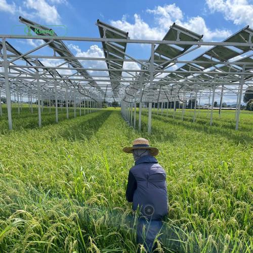 solar farm agriculture structure