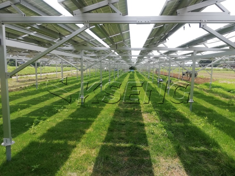 An article about complementary agricultural photovoltaic systems